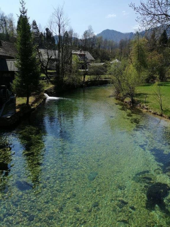 Wunderschone Ferienwohnung Mit Blick Auf Die Karawanken Згорнье-Горье Экстерьер фото