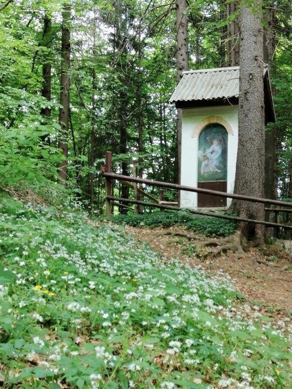 Wunderschone Ferienwohnung Mit Blick Auf Die Karawanken Згорнье-Горье Экстерьер фото