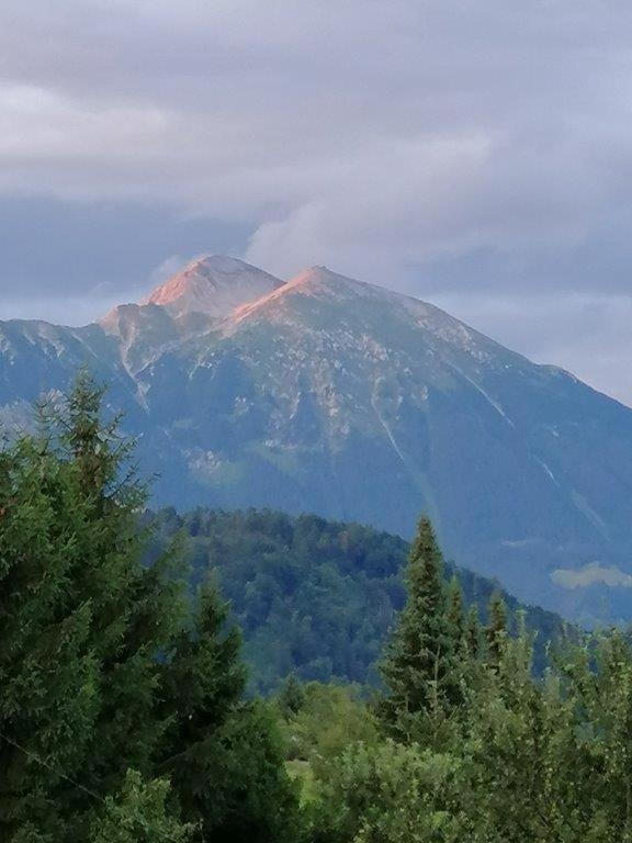 Wunderschone Ferienwohnung Mit Blick Auf Die Karawanken Згорнье-Горье Экстерьер фото