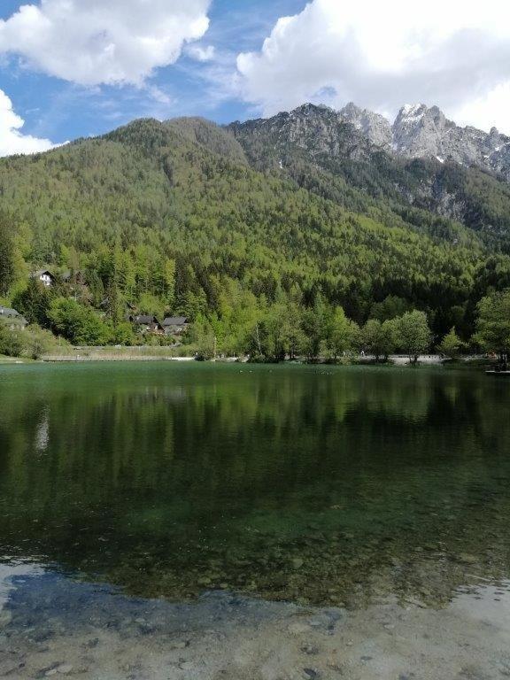 Wunderschone Ferienwohnung Mit Blick Auf Die Karawanken Згорнье-Горье Экстерьер фото